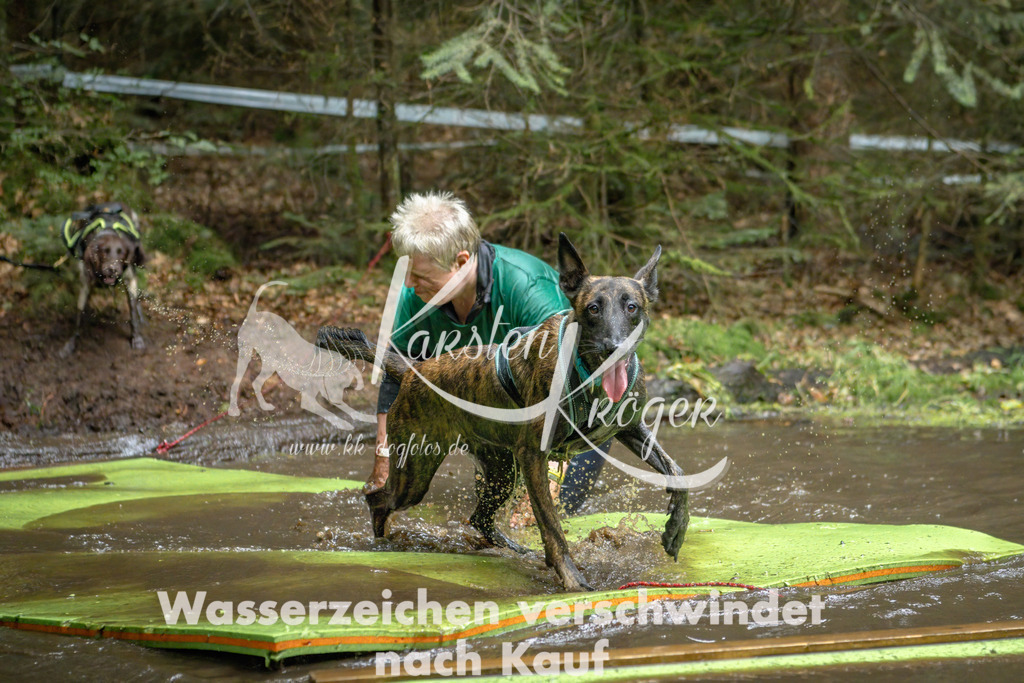 1527_ZZ90658-Bearbeitet | kk-dogfotos