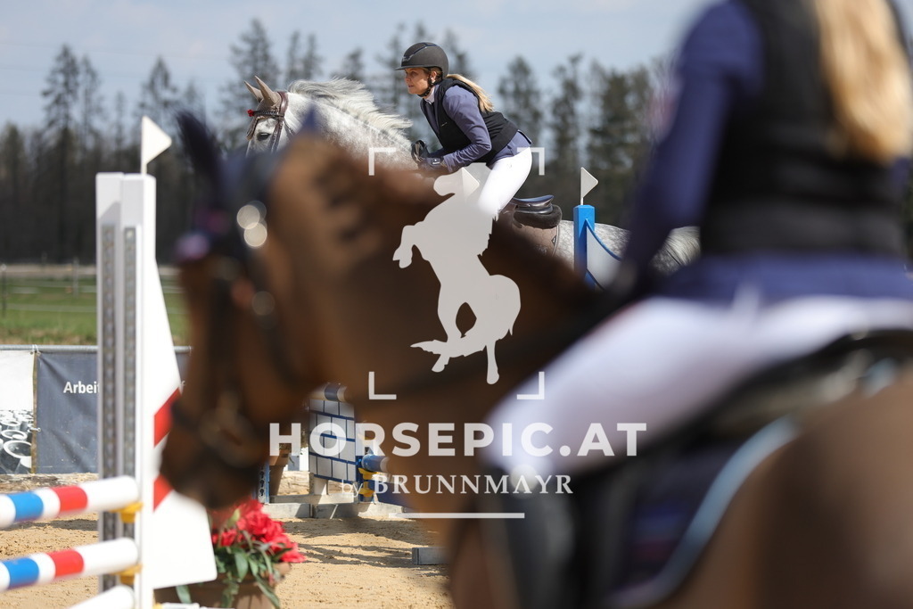 0P6A7509 | Willkommen bei Brunnmayr - Design & Fotografie – Ihrem Spezialisten für Reitturniere und Pferdeveranstaltungen in Oberösterreich, Salzburg und Bayern! Seit über 17 Jahren sind wir leidenschaftlich dabei.