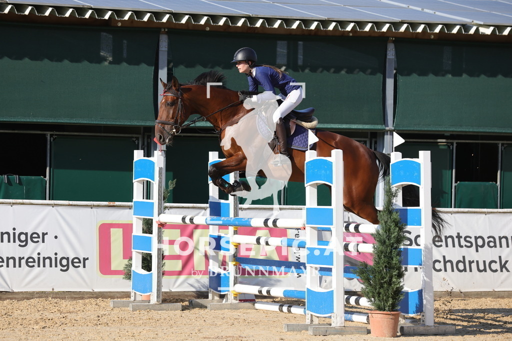 0P6A2174 | Willkommen bei Brunnmayr - Design & Fotografie – Ihrem Spezialisten für Reitturniere und Pferdeveranstaltungen in Oberösterreich, Salzburg und Bayern! Seit über 17 Jahren sind wir leidenschaftlich dabei.