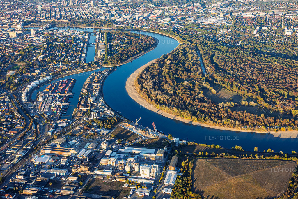 Luftbild: Niedrigwasser am Rhein um die Reißinsel gegenüber Kaiserwörthhafen im Ortsteil Niederfeld in Mannheim im Bundesland Baden-Württemberg in Deutschland. – Foto: IMG_159678.jpg vom 06.10.2026 durch Werner Riehm/FLY-FOTO.de – Auflösung des Originals: 6000 x 4000 px