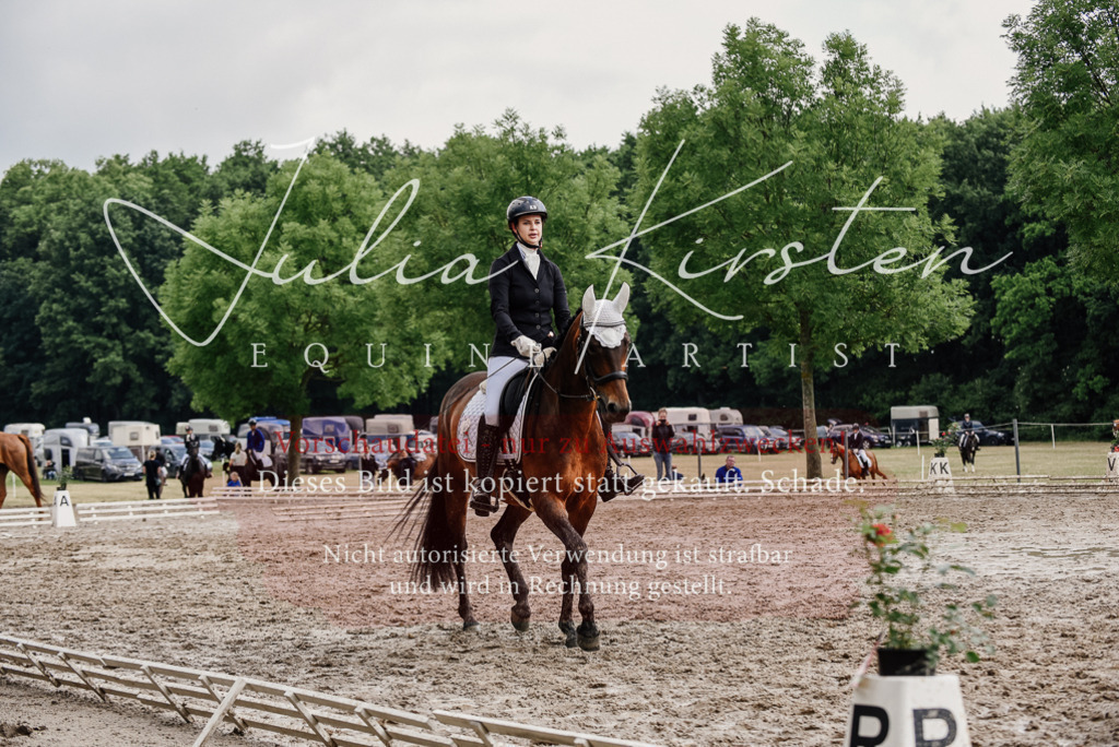 DSC_9850 | Pferde- und Turnierfotografie in Westsachsen. Pferdeportraits, Auftragszeichnungen und intuitive Kunst.
