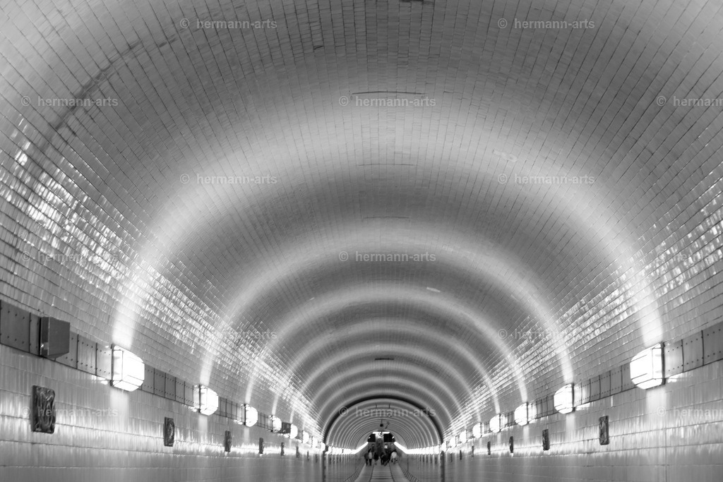 Hamurg_Arts-041 | Photo Foto Kunst Art schwarzweiss Bilder Rheine Münster Berlin Blumen 