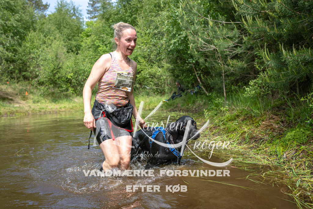 1231DKK993022 | kk-dogfotos