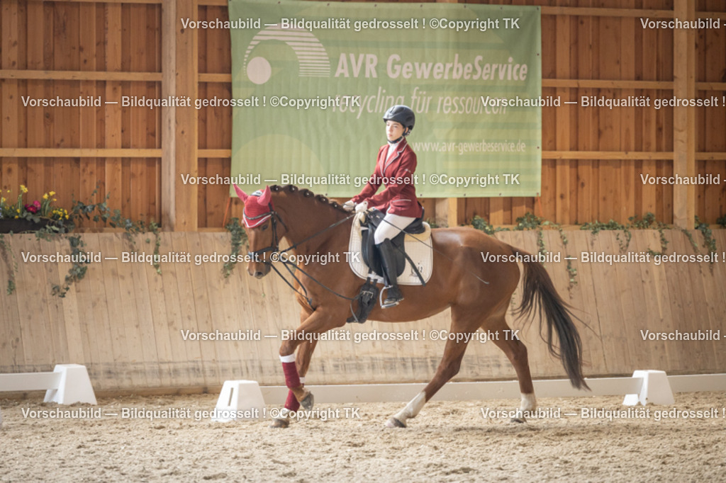 _D5A5679 | Emotionale Pferde- & People-Fotografie rund um Heidelberg, Leimen & Umgebung. Natürliche Fotos von Pferd, Mensch & Familie. Jetzt Termin sichern!