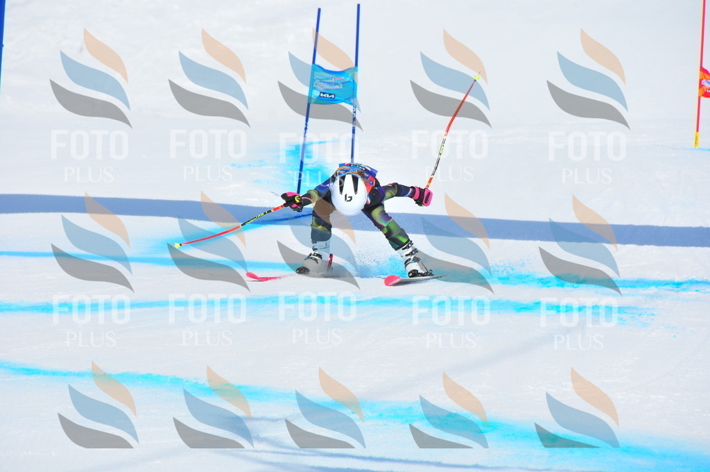 DSC_1363 | holidayphoto