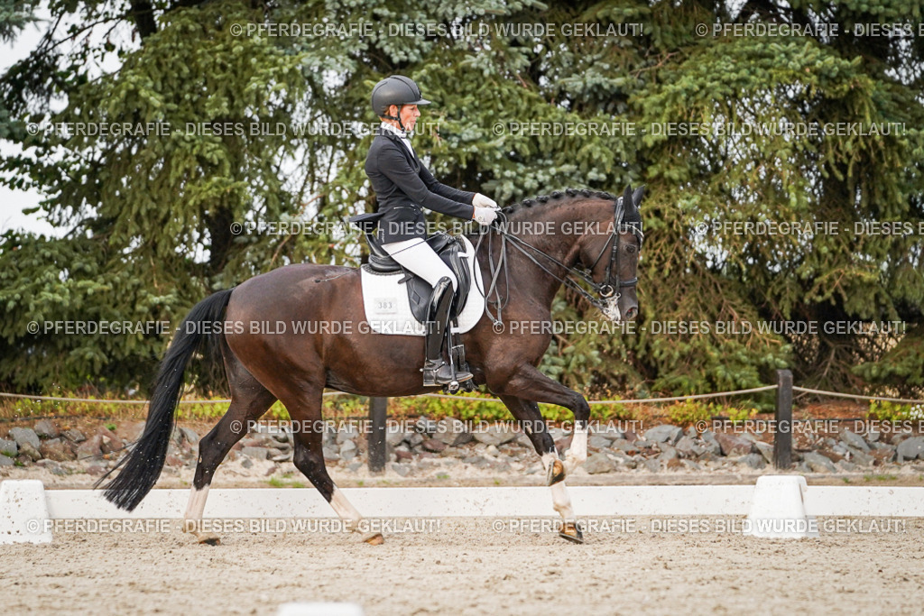 DSC09006 | Pferdegrafie