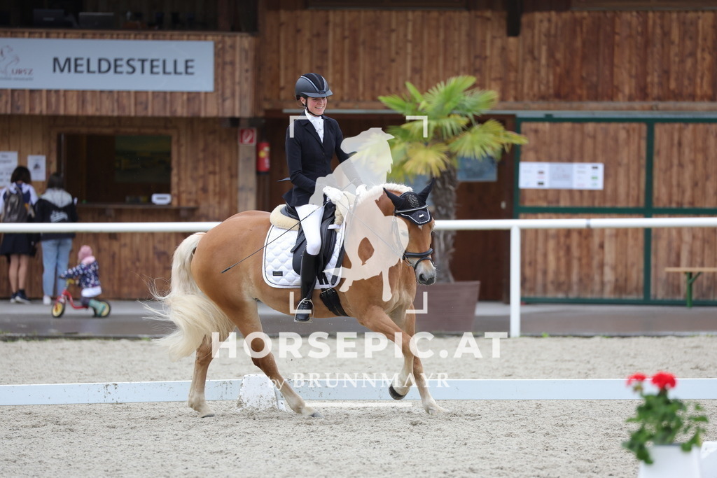 0P6A4400 | Willkommen bei Brunnmayr - Design & Fotografie – Ihrem Spezialisten für Reitturniere und Pferdeveranstaltungen in Oberösterreich, Salzburg und Bayern! Seit über 17 Jahren sind wir leidenschaftlich dabei.