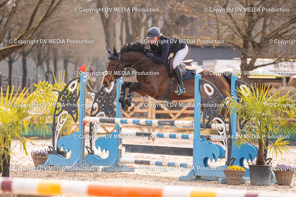 Kranichstein Tag 2-1402 | dv-media-shop - Realisiert mit Pictrs.com