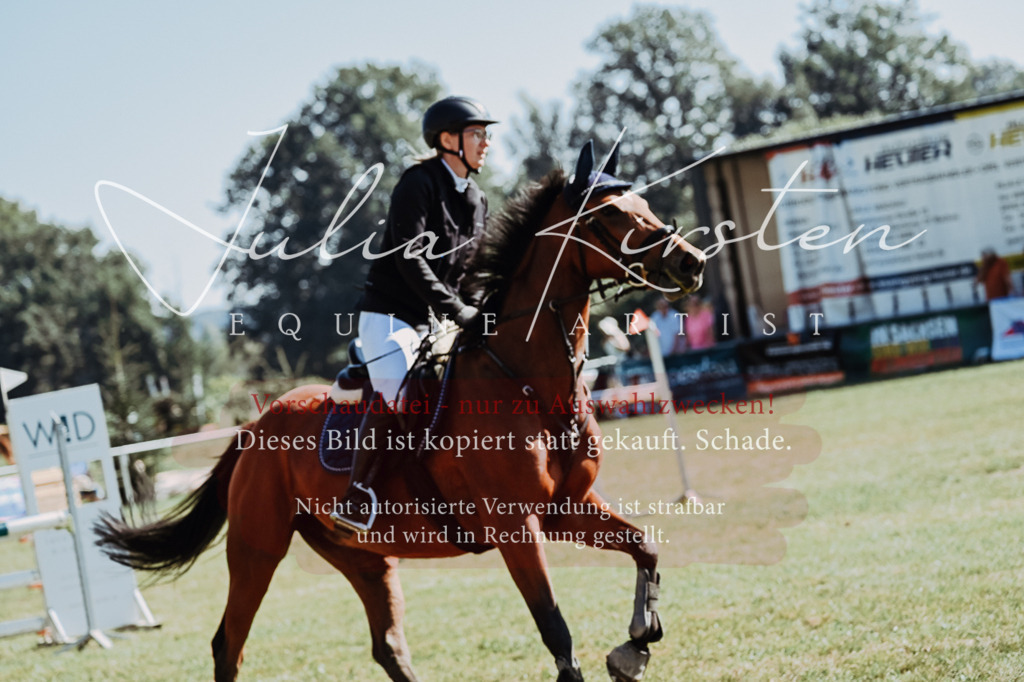 DSC_5783 | Pferde- und Turnierfotografie in Westsachsen. Pferdeportraits, Auftragszeichnungen und intuitive Kunst.