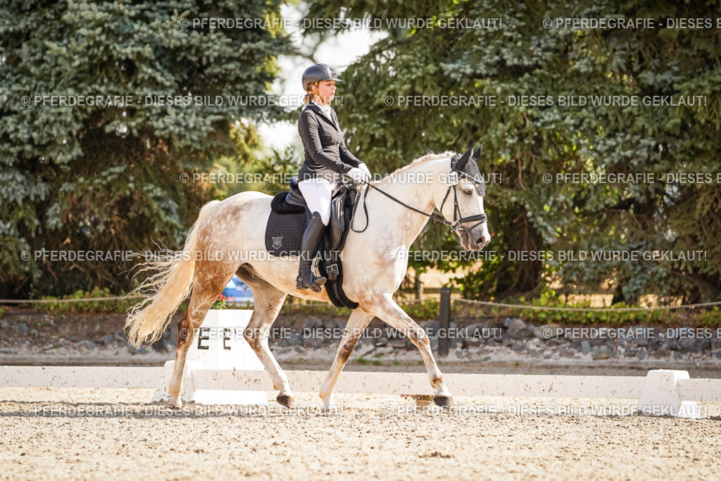 DSC00606 | Pferdegrafie