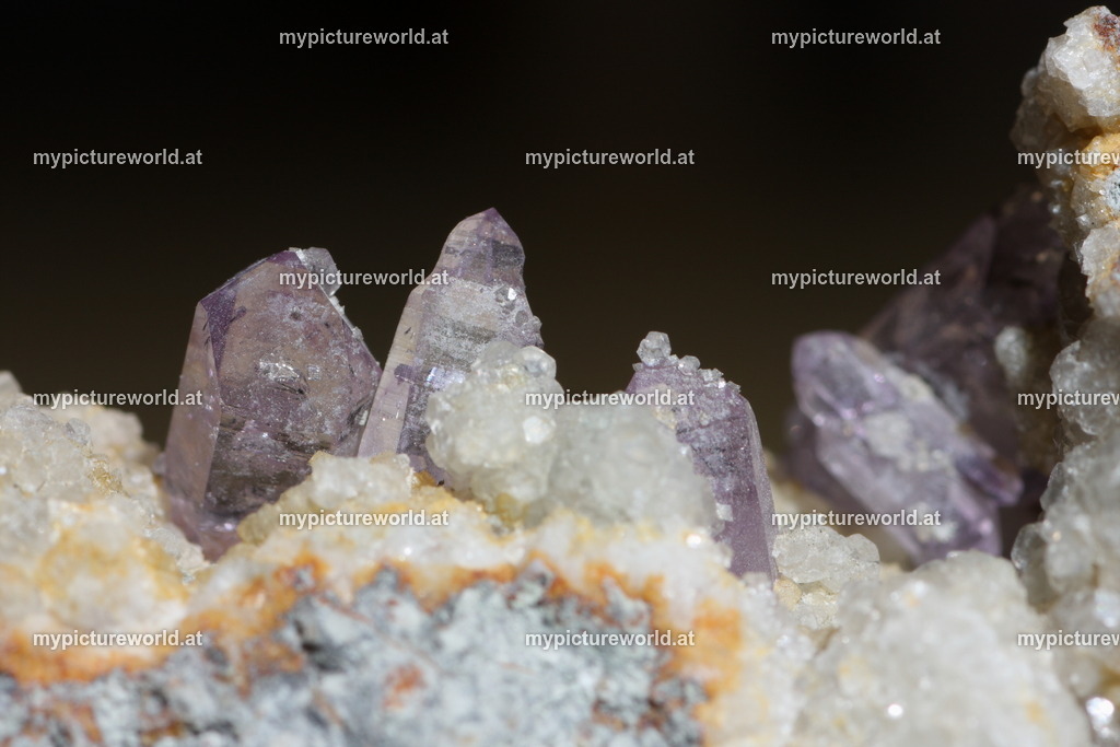 Amethyst-014 | Das Bilderarchiv über Tiere, Planzen und Landschaften. In der Bilddatenbank finden Sie ein große Auswahl an hochwertigen Bilder für Ihre Werbung - Realisiert mit Pictrs.com