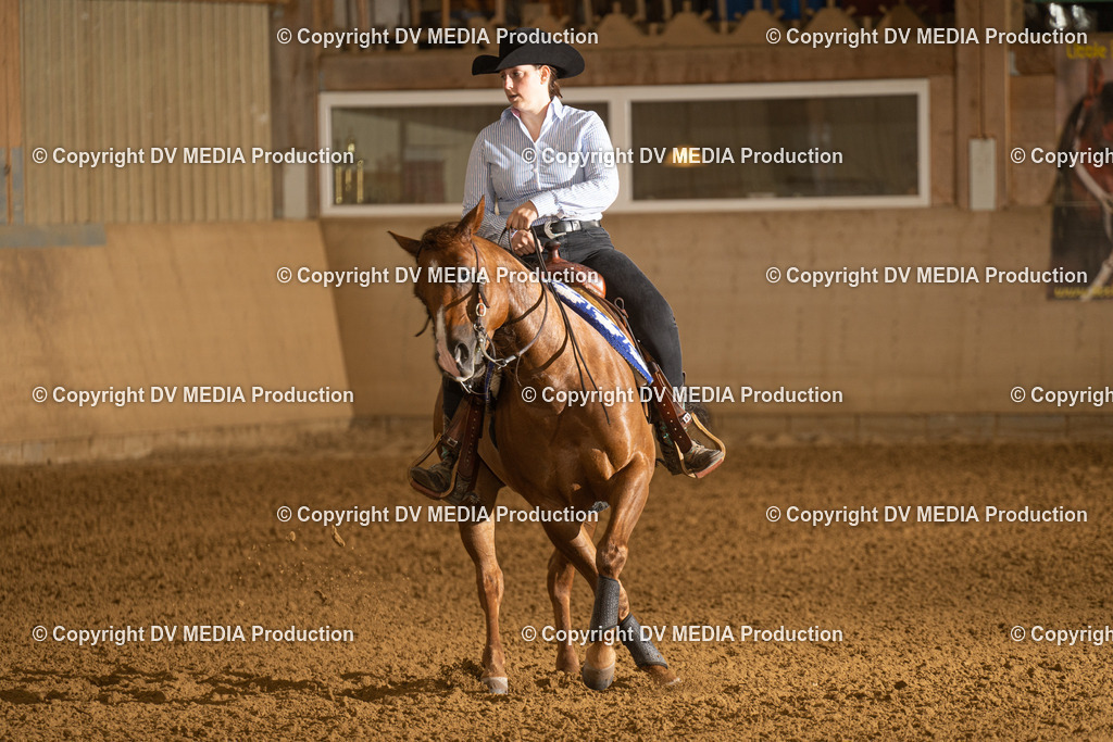 LAU00435 | dv-media-shop - Realisiert mit Pictrs.com