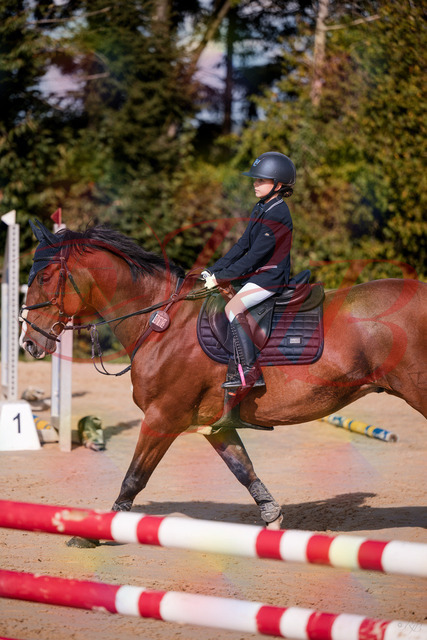 2026_10_03_Siefer-Hof_143820_Z81_08202897 | Professionelle Reitsport-, Turnier- und Eventfotografie von Robert Broda. Galerien mit ausgewählten und bearbeiteten Bildern direkt online ansehen und bestellen.