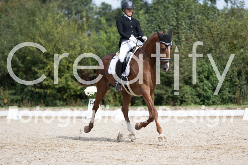 IMG_4209 | Creatify Fotografie