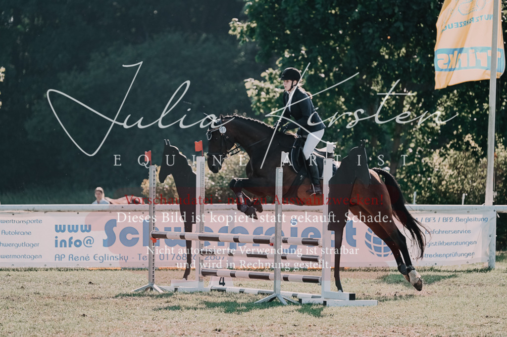 DSC_4805 | Pferde- und Turnierfotografie in Westsachsen. Pferdeportraits, Auftragszeichnungen und intuitive Kunst.