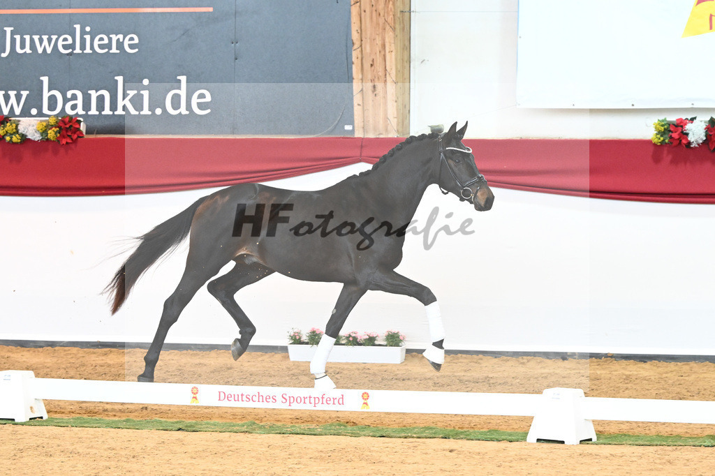 Kat-Nr. 48 So Perfect x Dancing World_Koch_43230964 | hf-fotografie - Realisiert mit Pictrs.com