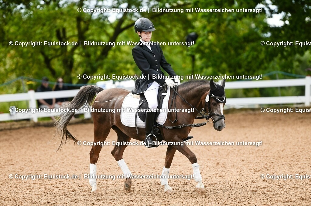 20230716_10-2_Reiter-WB Schritt - Trab - Galopp_0056 | equistock