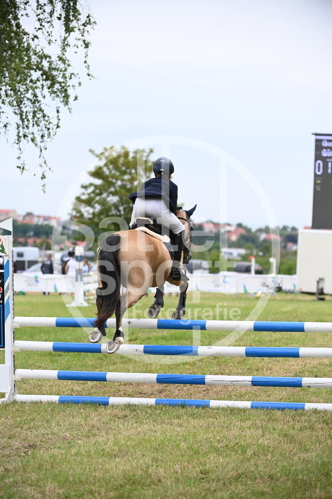 DSC_5117 | sattelsport - Realisiert mit Pictrs.com