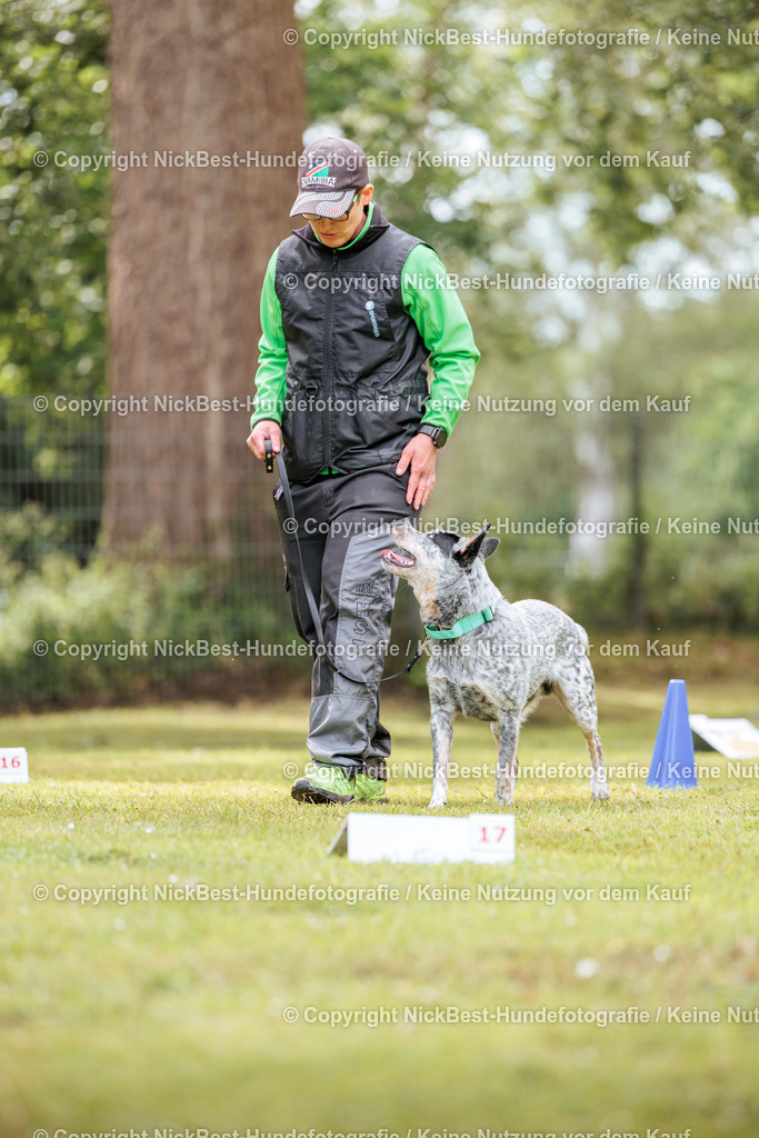 RO-Blumenthal-2026-Nickbest-Hundefotografie-5350 | Dein Hund! Dein Moment! Deine Erinnerungen! Hundefotografie in Bremen Blumenthal. Ich fange die besonderen Momente deines Vierbeiners ein – ob Indoor mit Blitzanlage oder in der freien Natur. Sicher dir dein Moment und dein Termin für eure Erinnerungen.