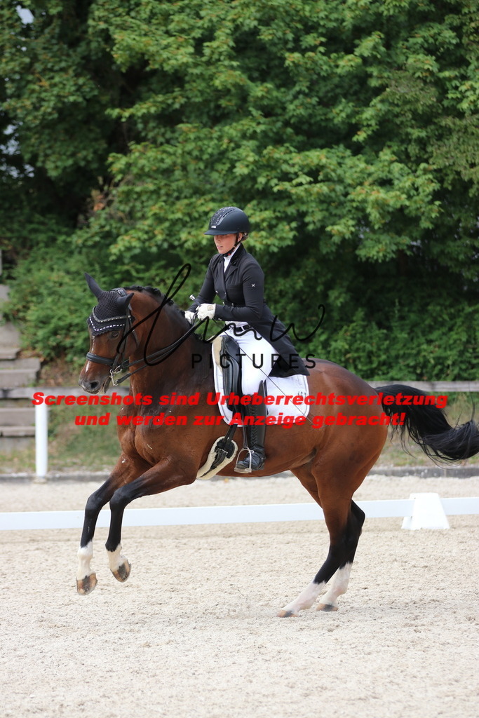 IMG_1746 | lmwpictures - Realisiert mit Pictrs.com