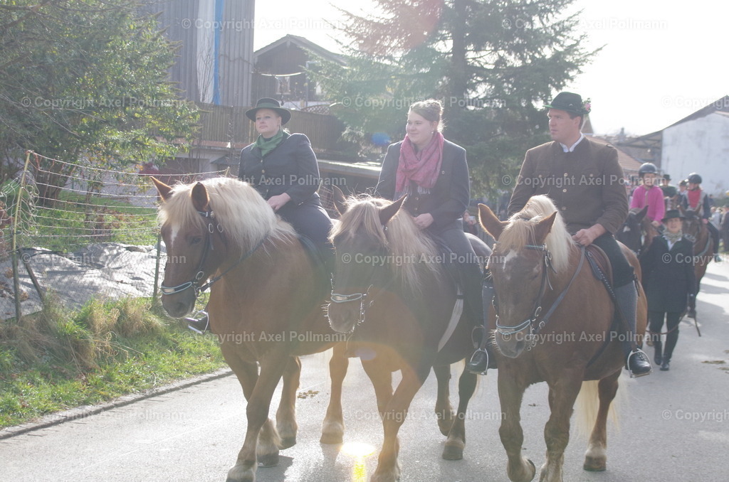 IMGP0936 | fotografiert von Axel PollmannLeonhardi Wallfahrt Benediktbeuern und Murnau, Fronleichnam, Fasching, Landschaft im Loisachtal und Benediktbeuern  - Realisiert mit Pictrs.com