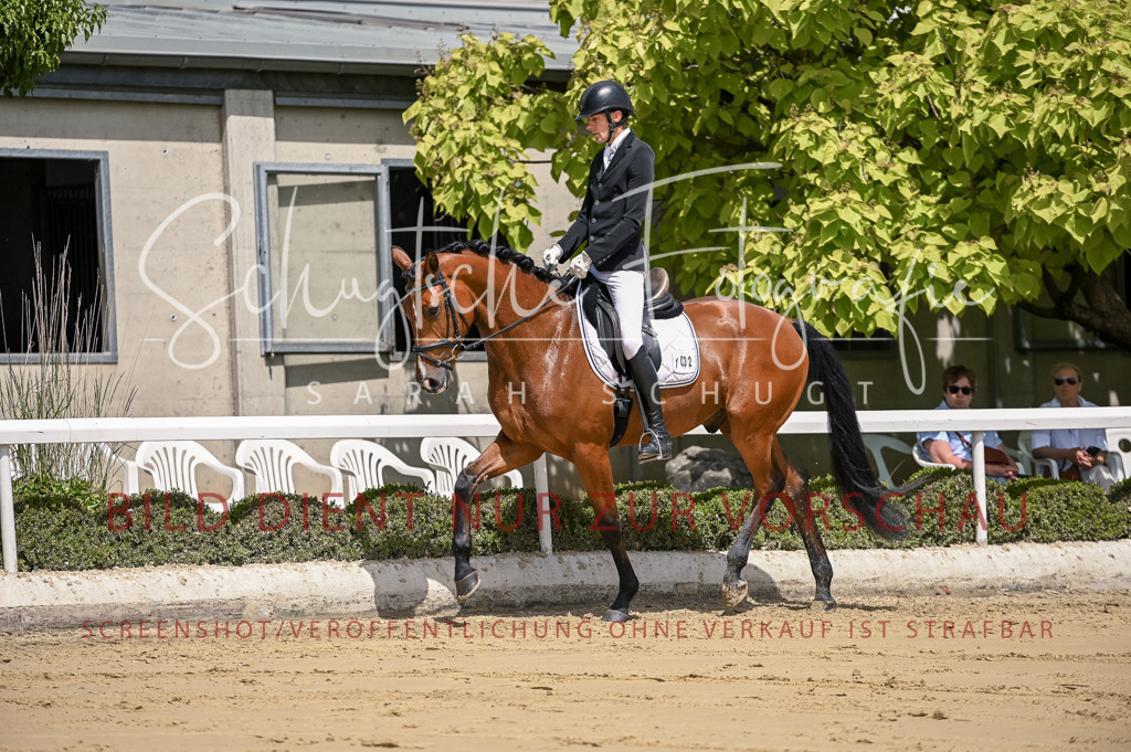 Schugtsche-Aluta25-48.Reitpferfdeprf.-193 | Schugtsche Fotografie - Realisiert mit Pictrs.com