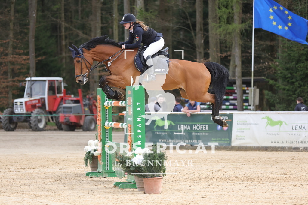 0P6A7283 | Willkommen bei Brunnmayr - Design & Fotografie – Ihrem Spezialisten für Reitturniere und Pferdeveranstaltungen in Oberösterreich, Salzburg und Bayern! Seit über 17 Jahren sind wir leidenschaftlich dabei.