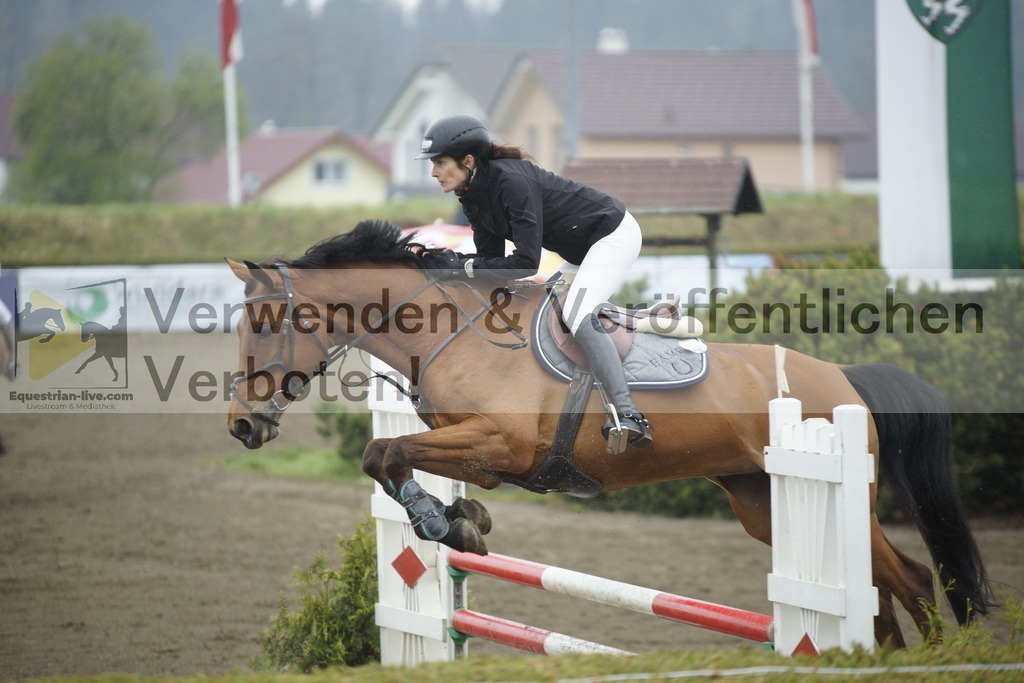 _DSC3868 | equestrian-live-com