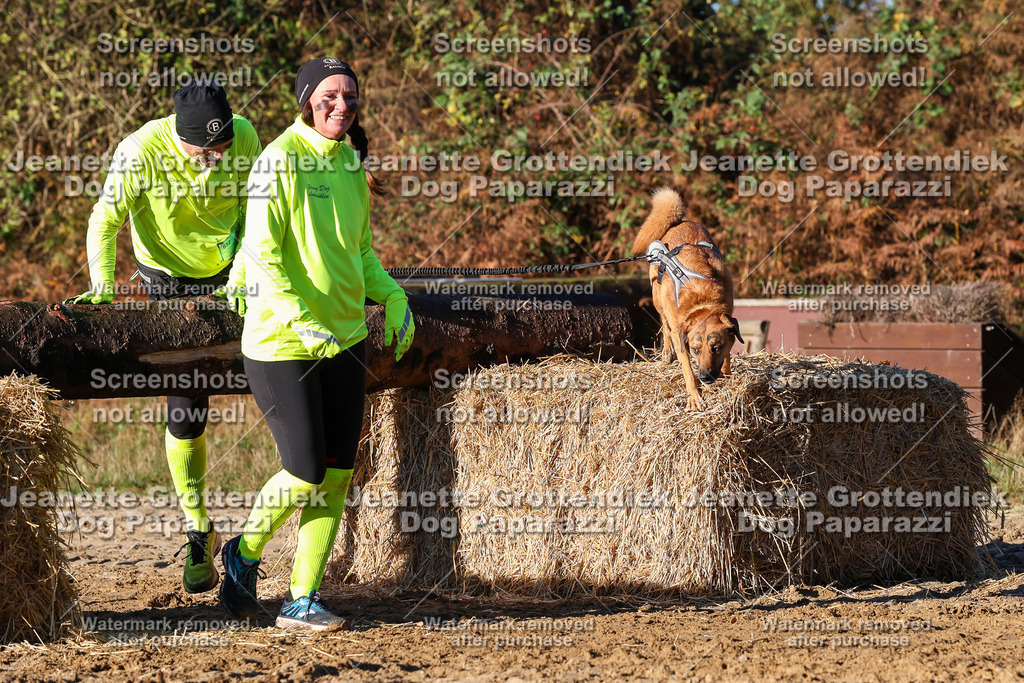 Dog Paparazzi - Strongdog 10-25-1264 | Dog Paparazzi Jeanette Grottendiek Fotografie & Videografie - Realisiert mit Pictrs.com