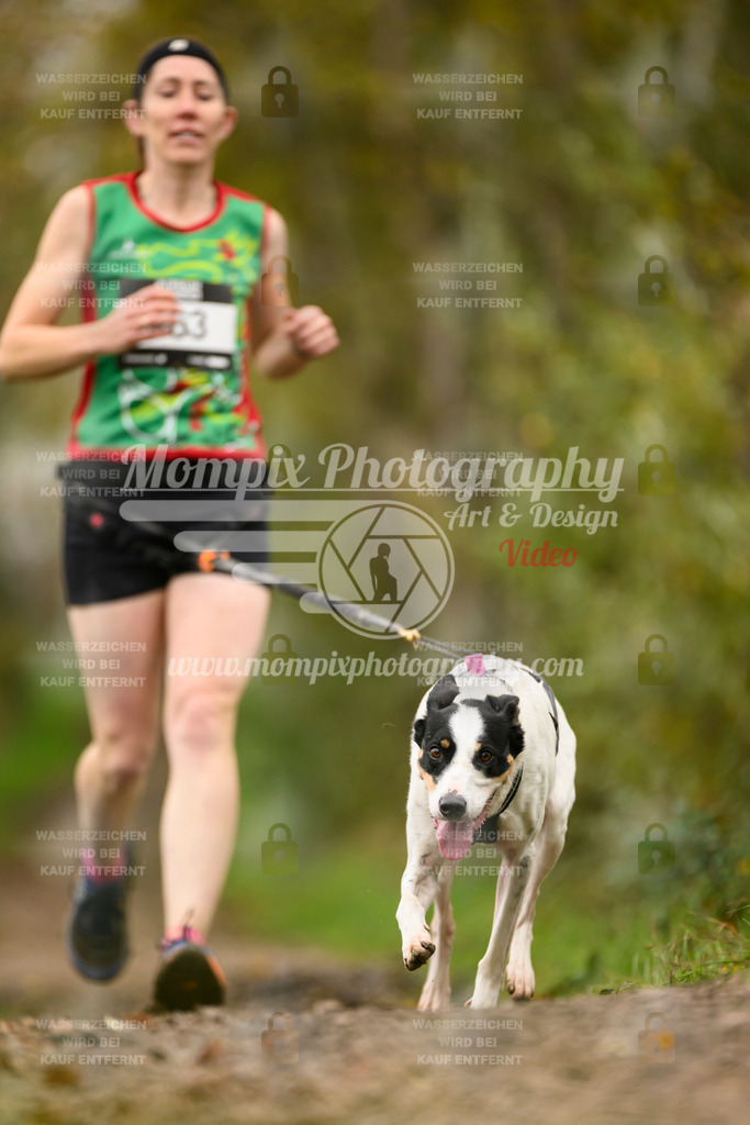 MompixPhotography_20TSB_E6_Run-195 | PayLife