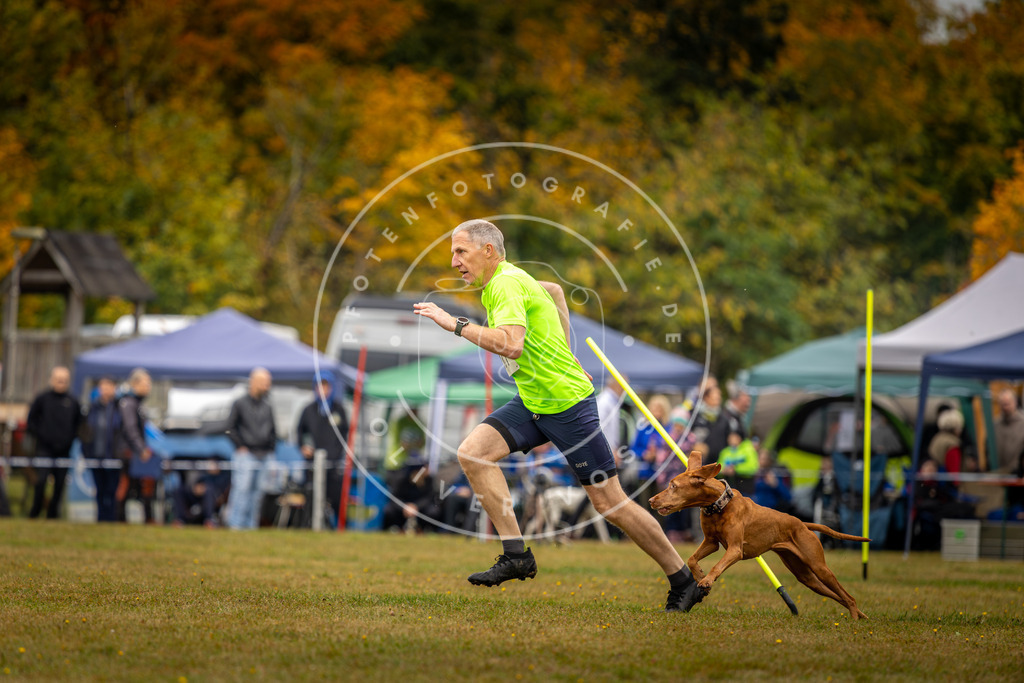 Pfotenfotografie_DV3A2186 | Hundefotografie, Tierfotograf, Pfotenfotografie, Fotoshooting Hund, Hunde Portrait, Hundesport, Hundeportraits, Heideshooting, Hunde, Sportfotograf, Hundefotograf, Turnierhundsport, THS,  - Realisiert mit Pictrs.com