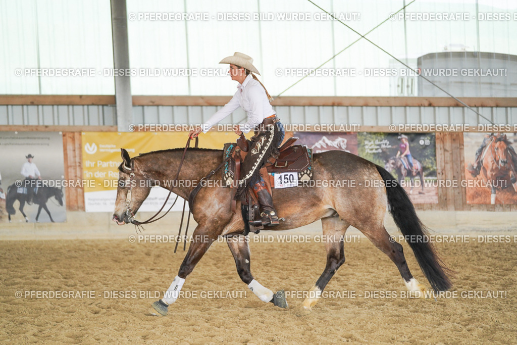 DSC01436 | Pferdegrafie