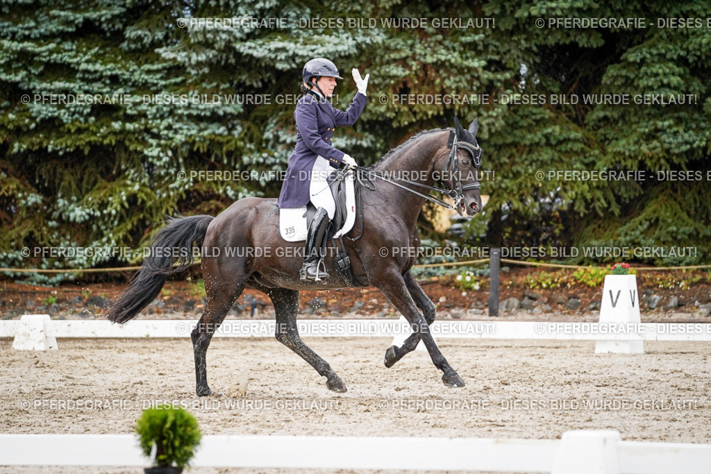 DSC09983 | Pferdegrafie