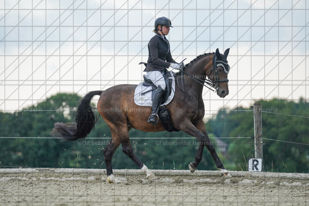 20230826-FAH06298 | Forstinning, 2023, Dressurturnier, Turniersportbilder, Turnierfotografen Bayern, Fotoagentur Herrmann, Reitsportfotografie, Turnierbilder