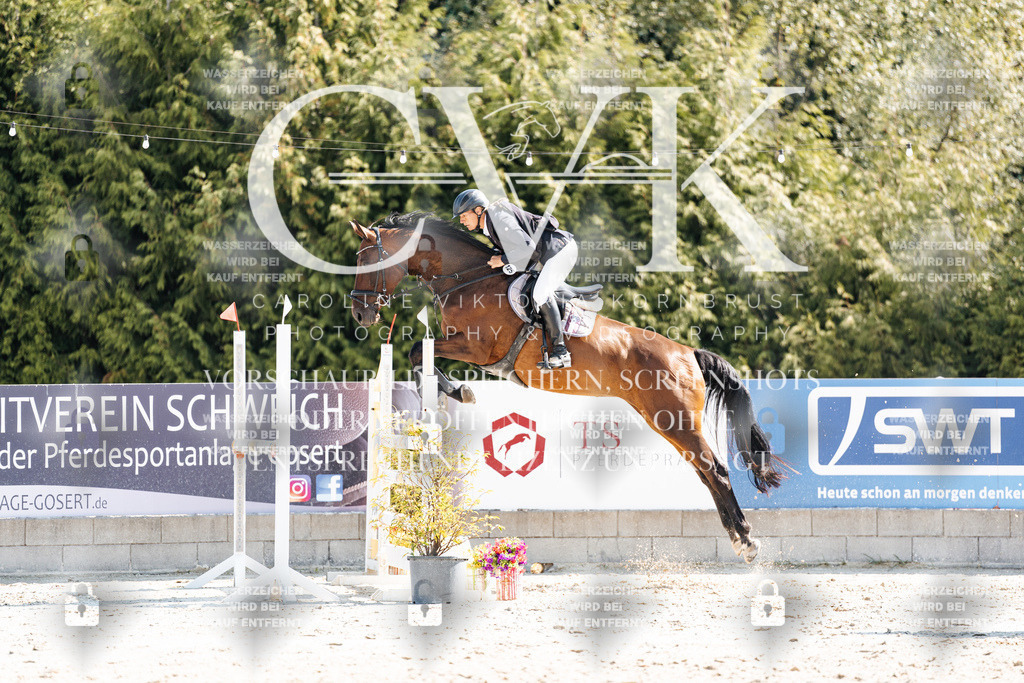 CK902655 | Turnierfotografie Pferdefotografie Trier Rheinland-Pfalz Pferdesport Reitsport Tierfotografie Sportfotografie Pferdevideo Pferdevideografie Equestrianvideography equestrianphotography  - Realisiert mit Pictrs.com