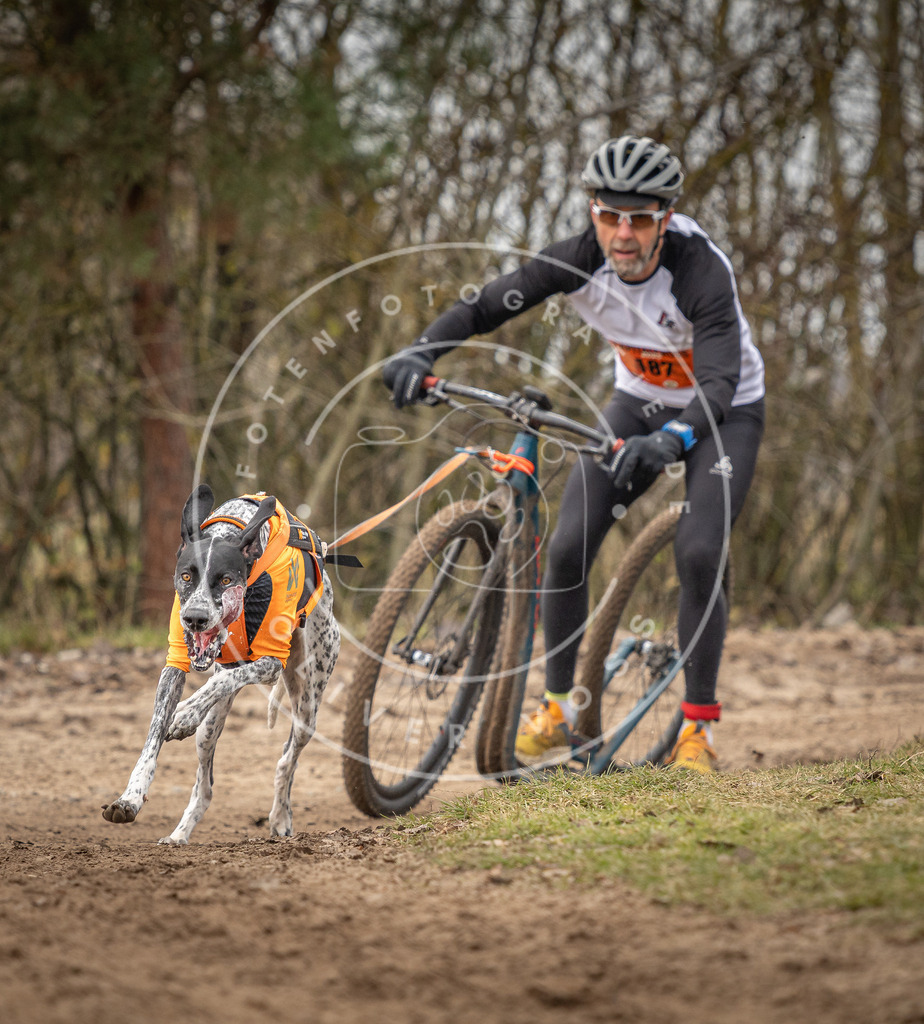 Pfotenfotografie_DV3A9592 | Hundefotografie, Tierfotograf, Pfotenfotografie, Fotoshooting Hund, Hunde Portrait, Hundesport, Hundeportraits, Heideshooting, Hunde, Sportfotograf, Hundefotograf, Turnierhundsport, THS,  - Realisiert mit Pictrs.com