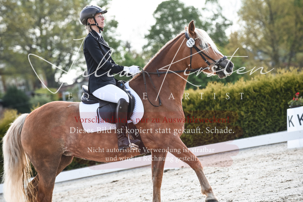 20230518_JK-Röhrsdorf-09-1610 | Pferde- und Turnierfotografie in Westsachsen. Pferdeportraits, Auftragszeichnungen und intuitive Kunst.