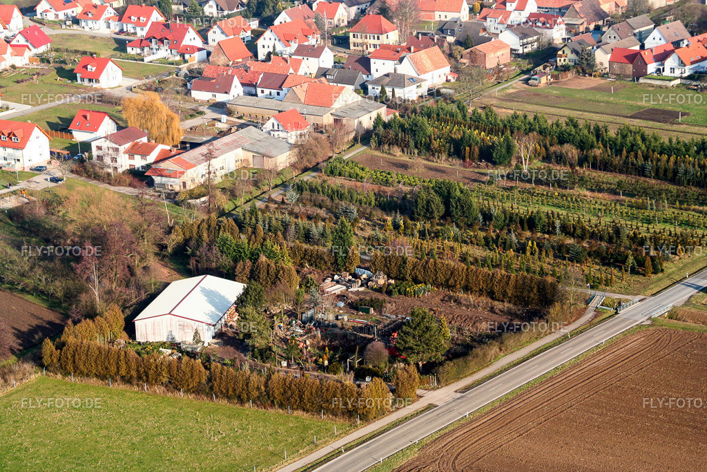 Baumschule | Luftbild: Baumschule im Ortsteil Schaidt in Wörth im Bundesland Rheinland-Pfalz in Deutschland. Foto: IMG_0624.jpg vom 08.01.2006 durch Werner Riehm/FLY-FOTO.de - Realisiert mit Pictrs.com