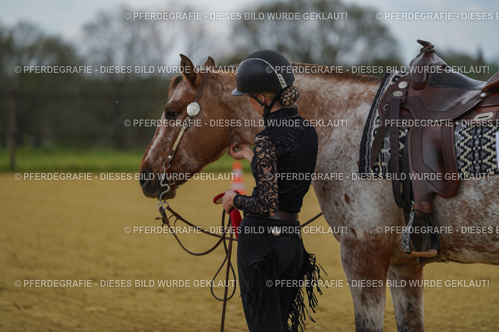 DSC05820 | Pferdegrafie