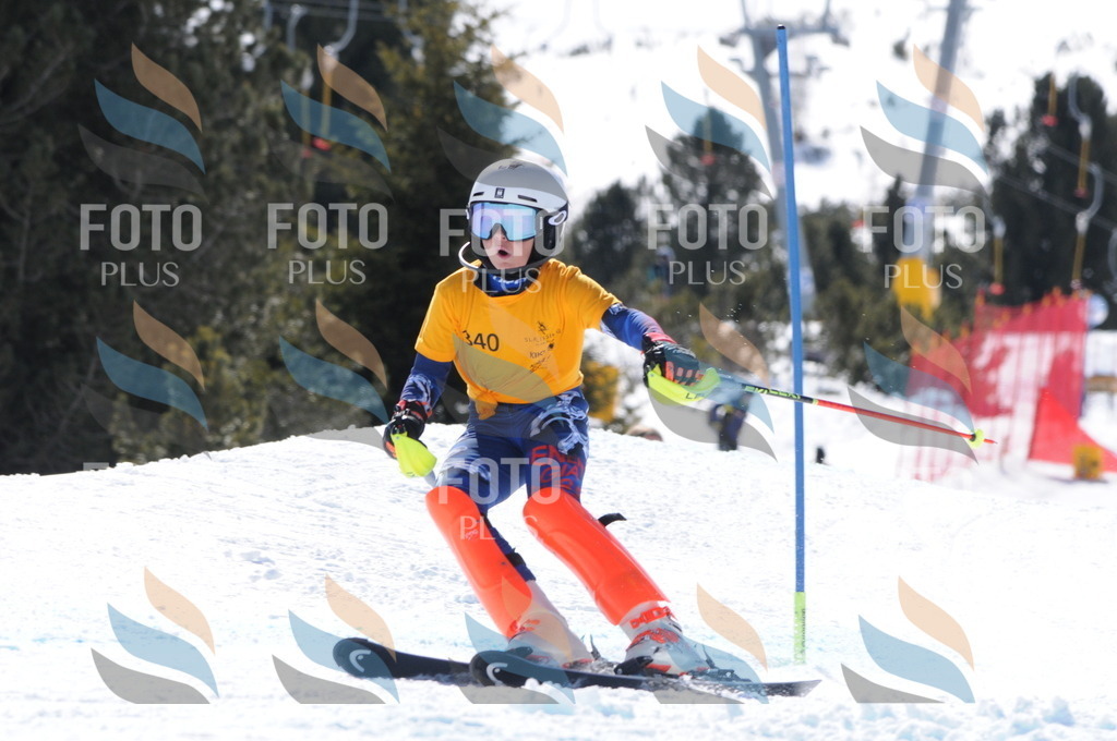 C9323 | holidayphoto