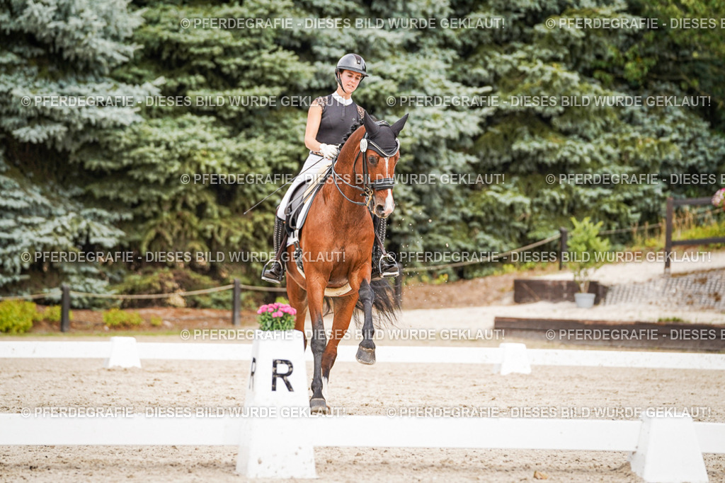 DSC05992 | Pferdegrafie