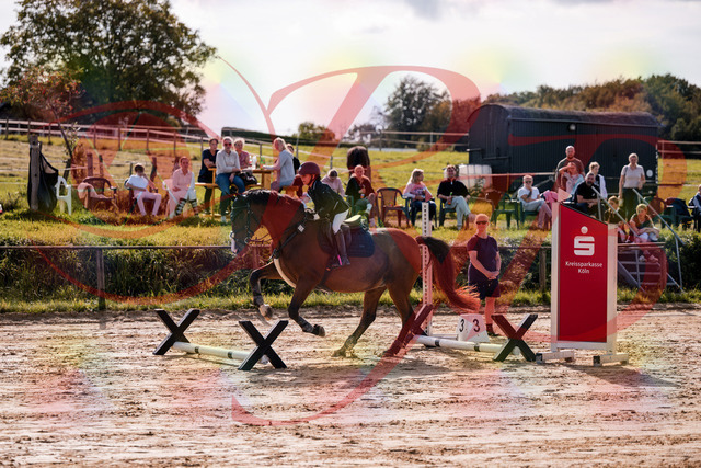 2026_10_03_Siefer-Hof_143807_Z81_07752852 | Professionelle Reitsport-, Turnier- und Eventfotografie von Robert Broda. Galerien mit ausgewählten und bearbeiteten Bildern direkt online ansehen und bestellen.