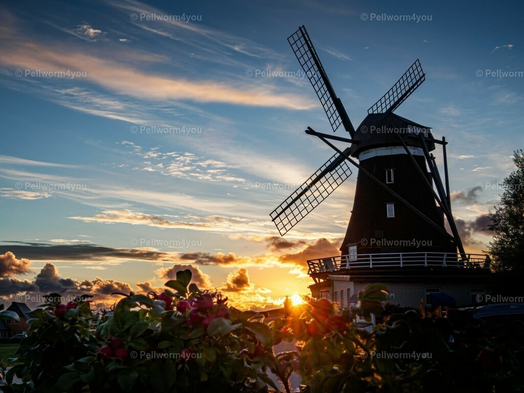 pellworm-kalender-2024-17-denoise-enhance-2x-sharpen | Pellwormer Bilder und Fotos als Poster, auf Leinwand mit Keilrahmen, hinter Acrylglas, auf Alu-Dibond oder Forex-Platte und vieles mehr. Zum verschenken, für die Ferienwohnung oder für zu Hause. - Realisiert mit Pictrs.com