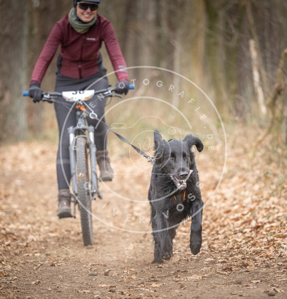 Pfotenfotografie_DV3A5906 | Hundefotografie, Tierfotograf, Pfotenfotografie, Fotoshooting Hund, Hunde Portrait, Hundesport, Hundeportraits, Heideshooting, Hunde, Sportfotograf, Hundefotograf, Turnierhundsport, THS,  - Realisiert mit Pictrs.com