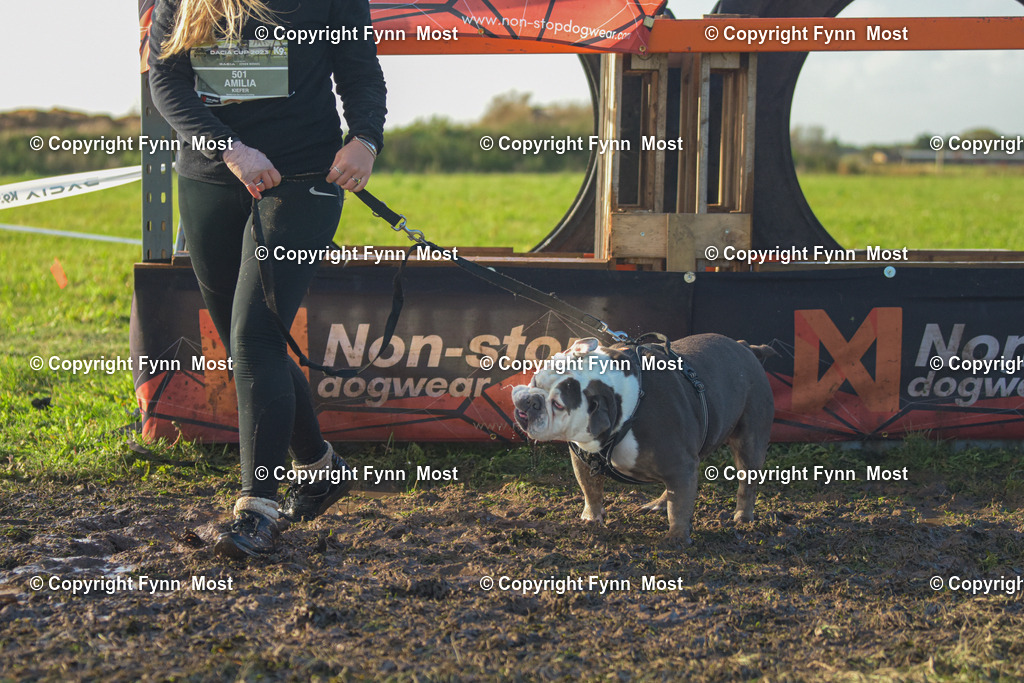 DSC_0644 | Hallo und herzlich Willkommen auf meiner Shop-Seite Fynn Most.

Ich wünsche Dir viel Spaß beim stöbern durch die Bilder, wenn Du Fragen hast oder Bilder vermisst, kannst du mir gerne eine Nachricht schreiben. - Realisiert mit Pictrs.com