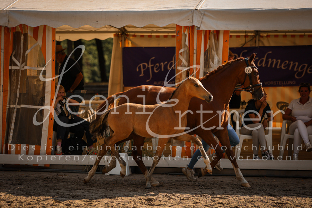 11.DoRP00149 | Leoni Ertmer Photography - Realisiert mit Pictrs.com