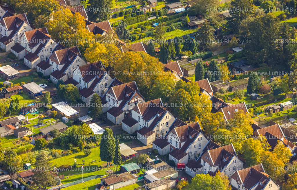Luenen241012480 | Luftbild, Alte Kolonie - Zechensiedlung Lünen Brambauer, Reihenhäuser mit roten Dächern und Gartenanlagen, Brambauer, Lünen, Ruhrgebiet, Nordrhein-Westfalen, Deutschland