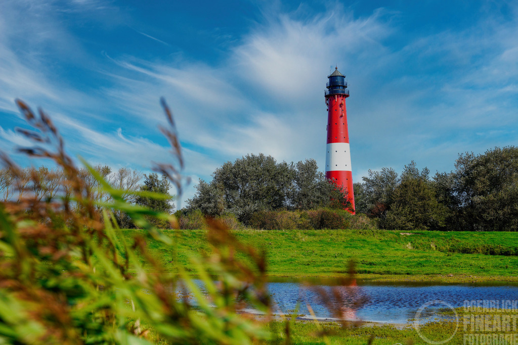 _SEP0704 | Björn Thiemann; Ogenblick.de; Fotografie; Photograph; Landscape, Pellworm, Schleswig-Holstein; Inselfotograf; Inselfotografien; Wattenmeer; National-Park; Naturschutzgebiet; Leuchtturm; Lighthouse; Leinwandbilder; Kalender; Pellworm Kalender;  - Realisiert mit Pictrs.com