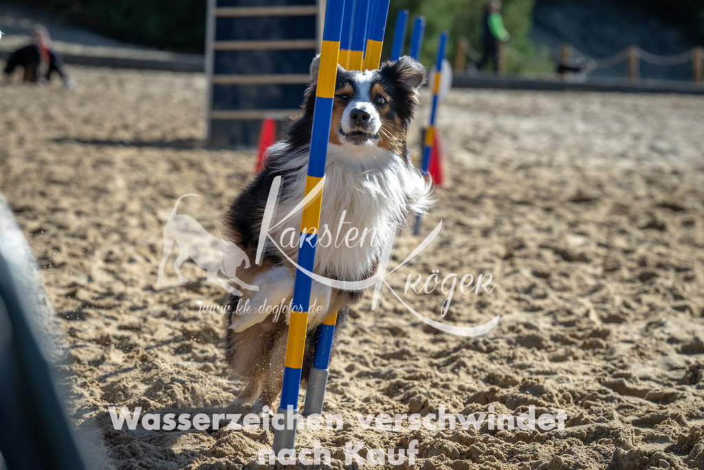 1129_ZZ91274 | kk-dogfotos