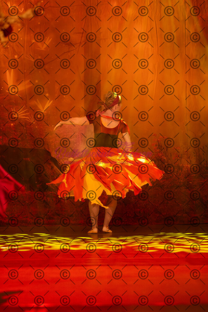 Ballettaufführung-1463 | Bildershop Lem'n Entertainment - Realisiert mit Pictrs.com